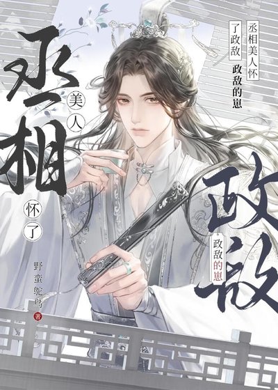 清冷丞相怀了死对头的崽